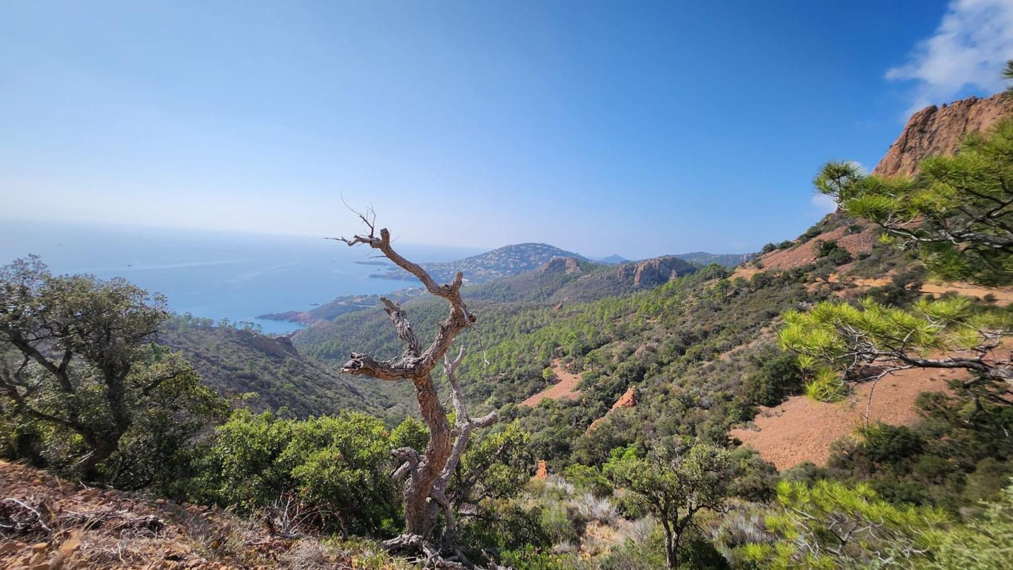 Saint-Raphael- Vue Mer Et Massif De L'Esterel Екстер'єр фото